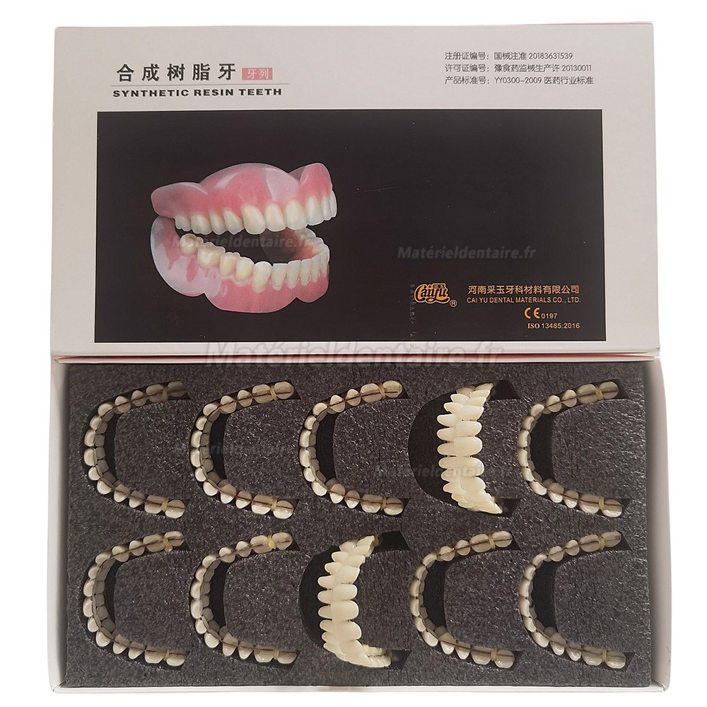 Prothèses dentaires en résine CAIYU (flexibles, bilatérales et symétriques) A1/A2/A3/A3.5/A4